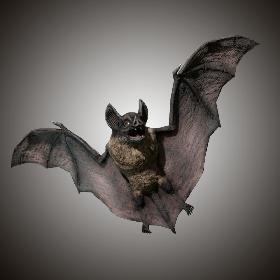 Vampire DarkBat